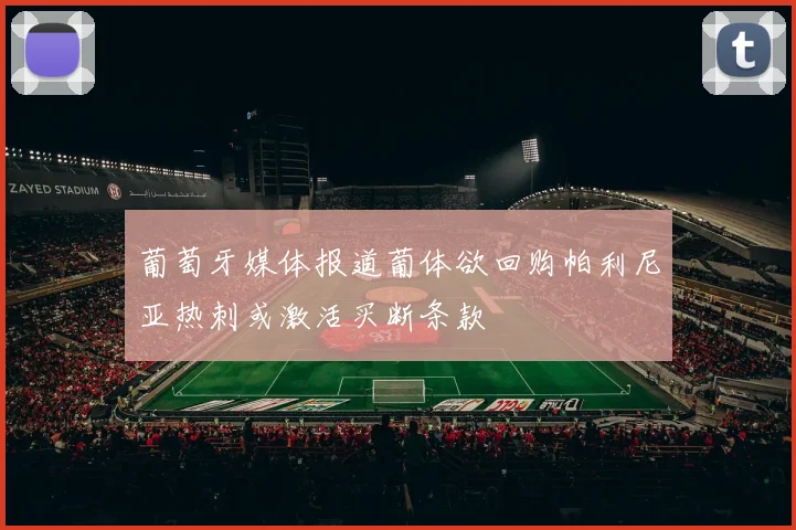 葡萄牙媒体报道葡体欲回购帕利尼亚热刺或激活买断条款