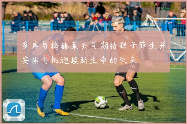 多库与梅赫莱共同期待孩子降生并安排飞机迎接新生命的到来